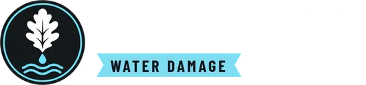 Ironwood Water Damage