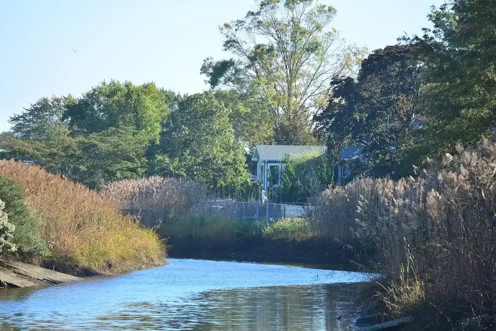 Tidal creek lined with tall reeds and trees near a house in Baldwin, New York