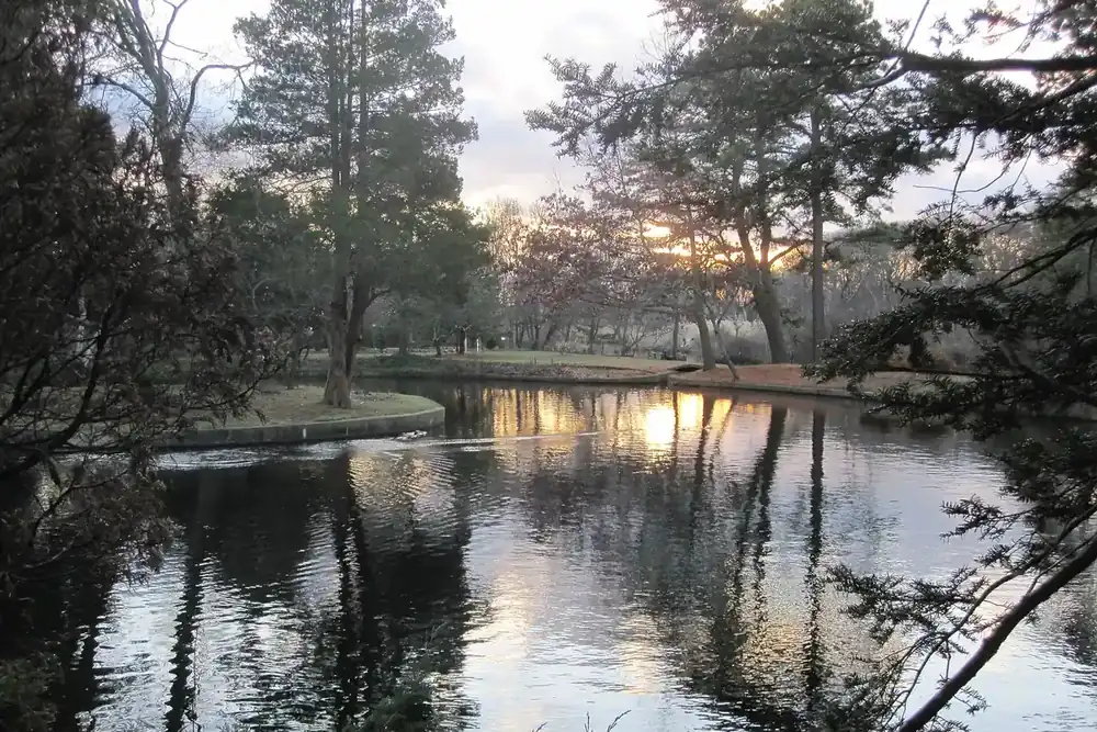 Calm pond reflecting bare trees and a soft evening sky in East Patchogue, New York