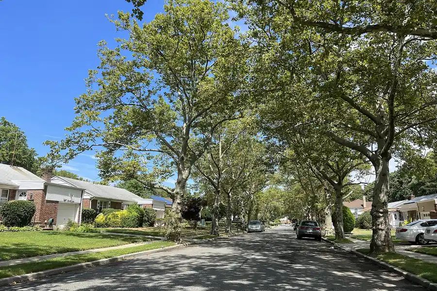 Tree-lined residential street with houses on a sunny day in North Valley Stream, New York
