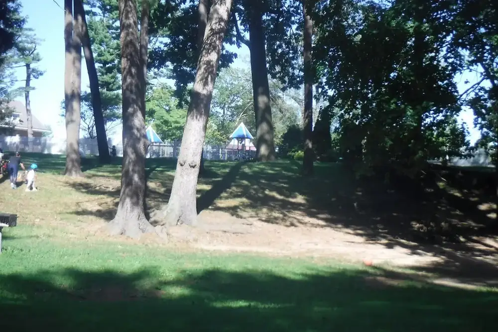 Shaded lawn and tall trees at Syosset-Woodbury Park with play equipment in the distance